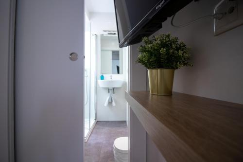une salle de bains pourvue d'un comptoir avec une plante. dans l'établissement Apartamento moderno en el centro de Granada - Mititilla, à Grenade