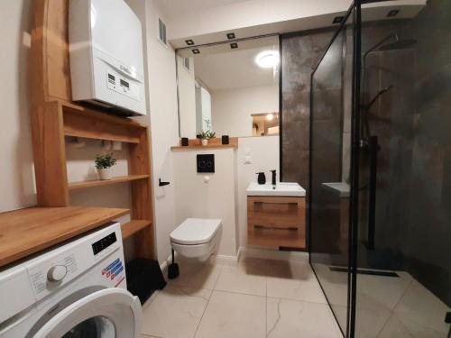 La petite salle de bains est pourvue d'une douche et de toilettes. dans l'établissement Apartament Słoneczny, à Władysławowo