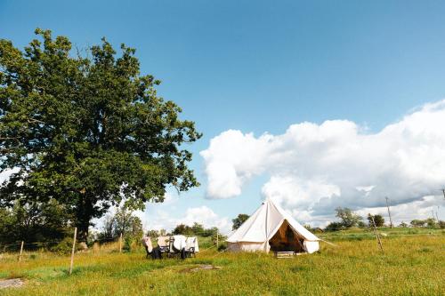 tenda bianca in un campo con un albero di Glamping in Småland a Eksjö