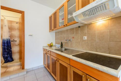 a kitchen with a sink and a microwave at Apartman Mirna in Sumartin