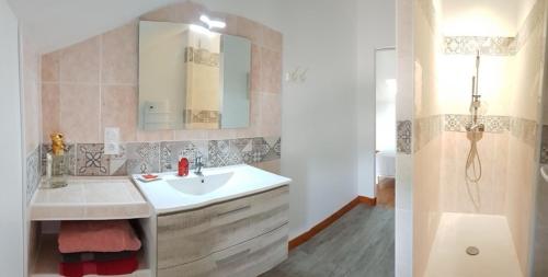 a bathroom with a sink and a mirror and a shower at Jardin de Pomarède in Prigonrieux