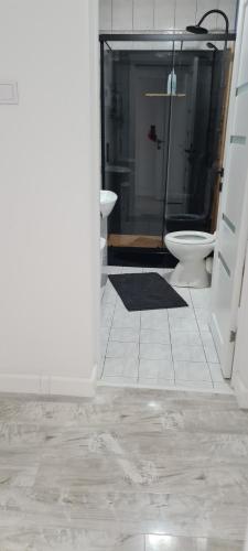 La salle de bains est pourvue de toilettes et d'une douche en verre. dans l'établissement Ram, à Piteşti