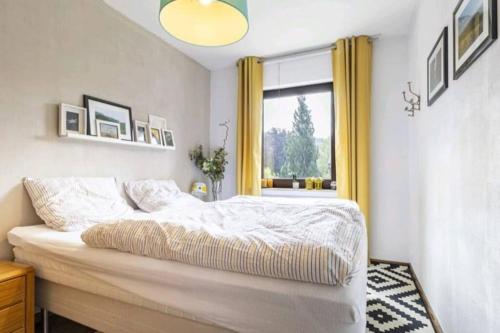 um quarto com uma cama grande e uma janela em Apartment mit Kamin-Sonnendurchflutet-Balkon em Winterberg