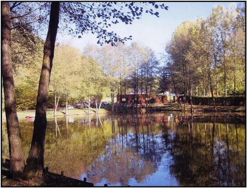 een schilderij van een rivier met bomen en een meer bij LE CHALET DE CANDICE TOUT CONFORT PECHE COMPRISE in Saint-Michel