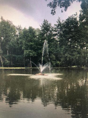 a fountain in the middle of a pond at LE CHALET DE CANDICE TOUT CONFORT PECHE COMPRISE in Saint-Michel
