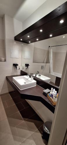 a bathroom with a large sink and a mirror at moderne Einraumwohnung mit eigenem Bad, Parkplatz, Balkonnutzung, zentrumsnah - In 10 Minuten mit dem Rad oder dem ÖPNV zur Arena und in Leipzigs Innenstadt in Leipzig