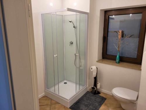 a glass shower in a bathroom with a toilet at Fifties Apartment Bechhofen in Bechhofen