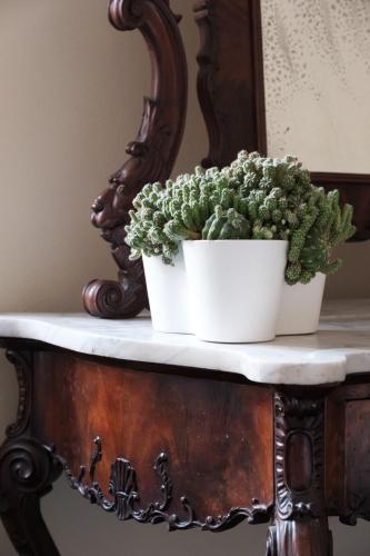 a plant in a white pot on top of a table at Casa Catalé in Modica
