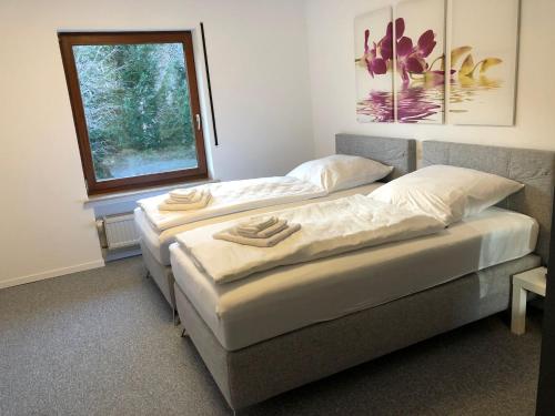 two beds in a room with a window at FeWo Wald Idyllika in Willingen