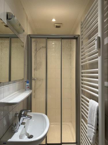 a bathroom with a sink and a glass shower at Heidhof in Bispingen