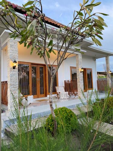 a house with a tree in front of it at Sumbul View Surfcamp in Airsatang
