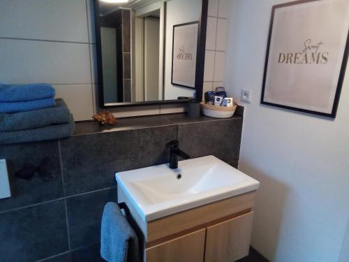 a bathroom with a sink and a mirror at Nettes Apartment priv. Eingang nähe Weinheim/HD/MA in Birkenau