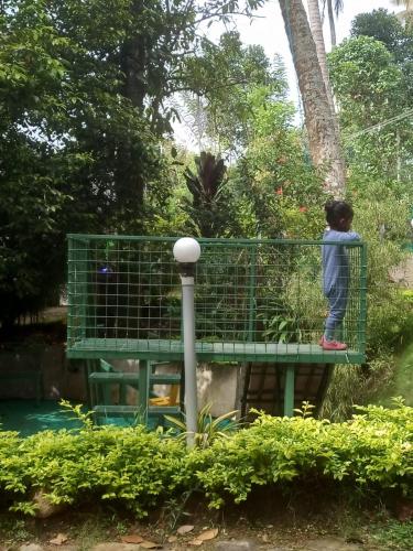 a young boy standing on a green bird cage at SpiceBuds TreeHouse - Idukki in Ramakkalmedu