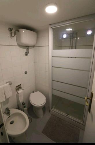 ein Bad mit einer Dusche, einem WC und einem Waschbecken in der Unterkunft casettazara in Meta