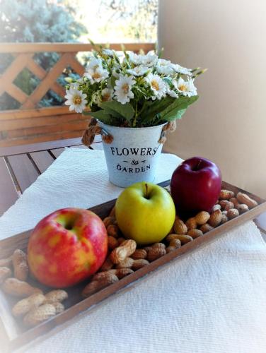 a tray with apples and nuts and a vase with flowers at Magnólia Vendégház in Villány