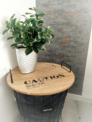 a potted plant sitting on top of a table at Magnólia Vendégház in Villány