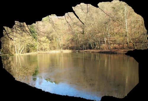 Φωτογραφία από το άλμπουμ του Landgasthof Hierenmühle σε Ney