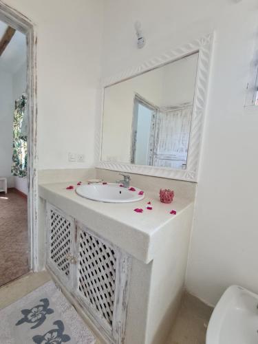 a bathroom with a sink and a mirror at Villa Yasmin in Watamu