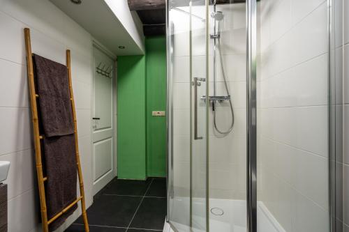 ein Badezimmer mit einer Dusche und einer grünen Wand in der Unterkunft EftelHuysje in Sprang-Capelle