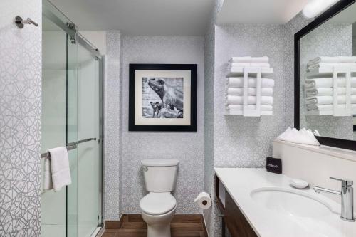W łazience znajduje się toaleta, umywalka i prysznic. w obiekcie Hampton Inn & Suites State College at Williamsburg Square w mieście State College