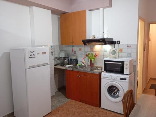 a kitchen with a refrigerator and a washing machine at VASO'S APPARTMENTS A in Missolonghi