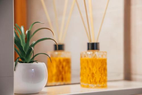 three glass vases sitting on a shelf with a plant at Archontiko Frideriki Luxury Apartments in Chios