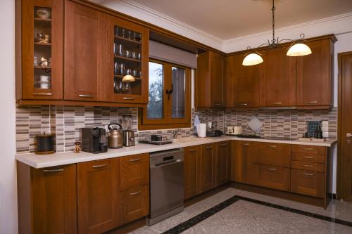 a kitchen with wooden cabinets and stainless steel appliances at Archontiko Frideriki Luxury Apartments in Chios