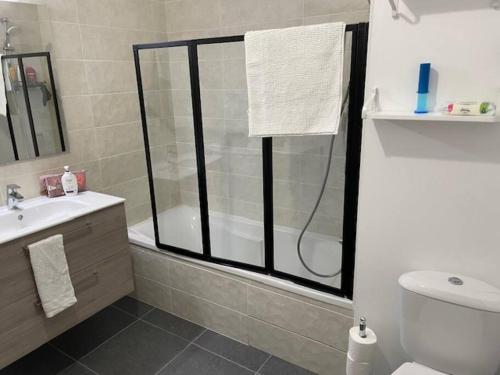 a bathroom with a shower and a toilet and a sink at L'Eden Roc in Saint-Jean-d'Aulps