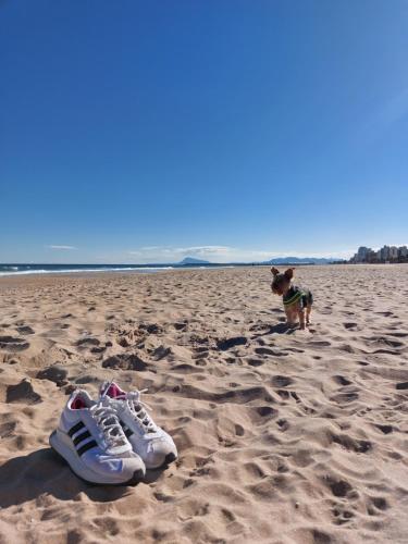 شاطئ عند بيت العطلات أو بالجوار