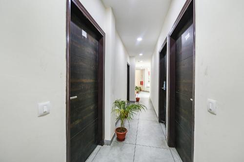 a hallway with black doors and a potted plant at Hotel HC Dream Majestic in Mohali