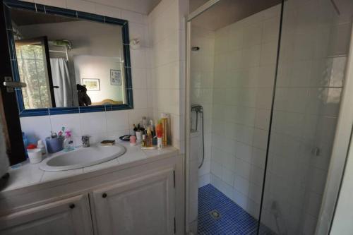 une salle de bain avec un lavabo et une douche avec un miroir dans l'établissement CORSE VILLA CARPE DIEM VUE MER 6 PERS PISCINE, à Santa-Maria-Poggio