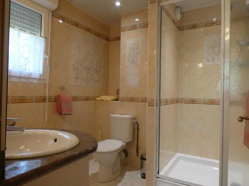 a bathroom with a shower and a toilet and a sink at Chambres d'Hôtes La Balaguère in Cauterets