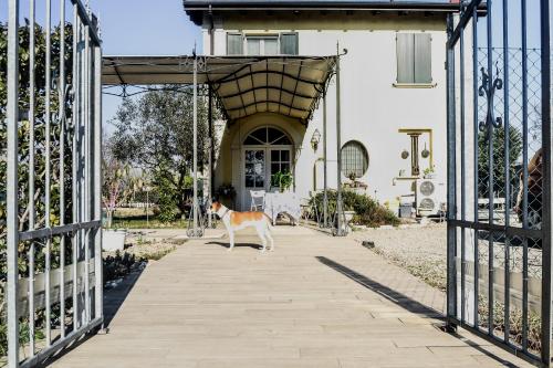 um cão parado em frente a um portão aberto em Lotus Country House em Crespellano