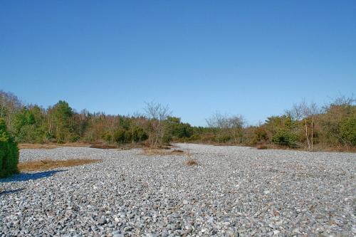 a large gravel field with trees in the background at Haus Granitzhof in ruhiger Lage in Binz
