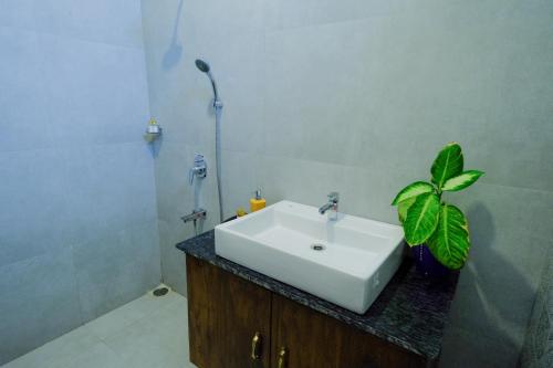 a bathroom with a sink and a plant on a counter at The Bheemili House in Bhīmunipatnam
