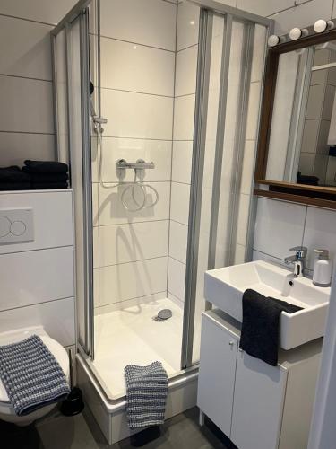 a bathroom with a shower and a sink at Stadtwohnung in Oldenburg
