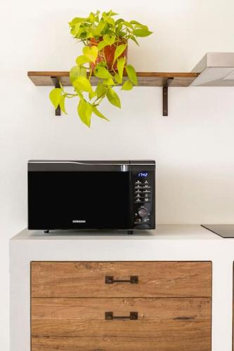 a microwave sitting on top of a counter with a plant at VerdeOlivo 1876 - Apartments & Pool in Mezzane di Sotto