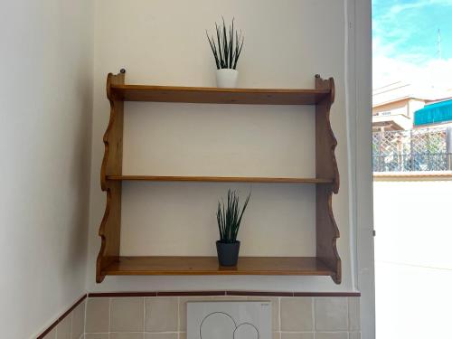 two shelves on a wall with two potted plants at Appartamento S. Pietro in Rome