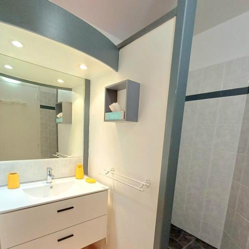 a bathroom with a sink and a shower at Au petit Régal in Sainte-Anne