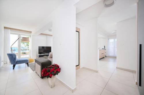 Apartment SONJA in Garden Palace Resort Umag