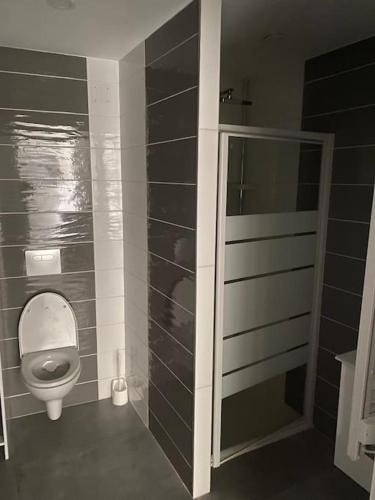 La salle de bains est pourvue de toilettes et d'une porte en verre. dans l'établissement Studio moderne entièrement rénové., à Freistroff