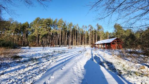 a snow covered road leading to a cabin in a forest at Jak Tu Sielsko in Osiek