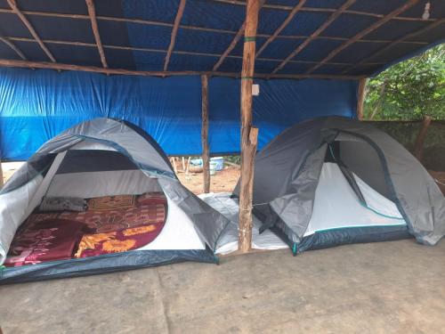 Deux tentes sont installées sous une tente bleue dans l'établissement Coorg Derala Camping Tent House, à Madikeri