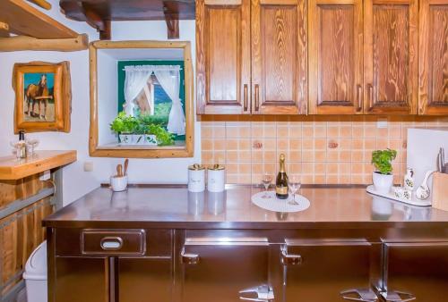 a kitchen with wooden cabinets and a counter top at Villa Ognjistar in the hinterland of Makarska Riviera in Zmijavci