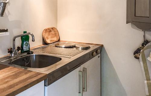 a small kitchen with a sink and a stove at Awesome Home In Visby With Kitchenette in Vall