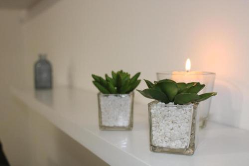 two vases with plants and a candle on a shelf at PDL Central Apartments - One in Ponta Delgada