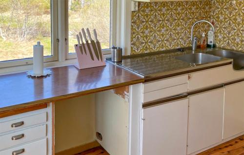 cocina con encimera con fregadero y ventana en Amazing Home In Engesland With House A Panoramic View, en Evje