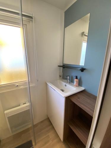 une salle de bain avec un lavabo et un miroir dans l'établissement Chez 