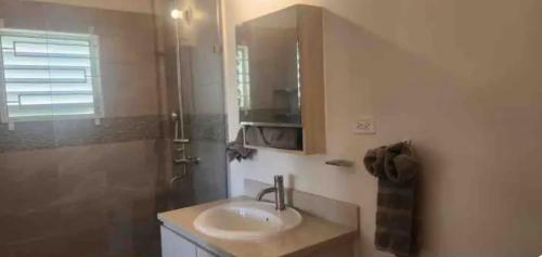 a bathroom with a sink and a shower at Remarkable 2-Bed House in Discovery Bay in Discovery Bay