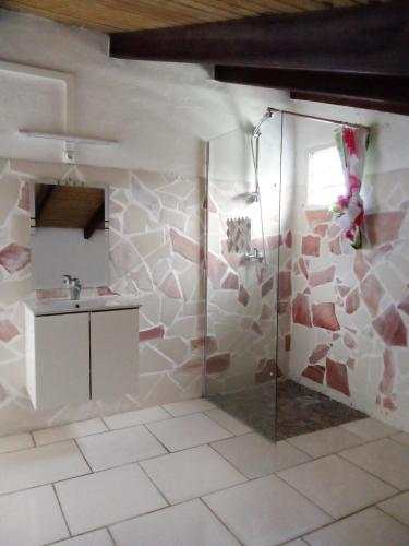 a bathroom with a shower and a sink at STUDIO / HAUT DE VILLA / / VUE SUR MER / SALONORAT in Bouillante